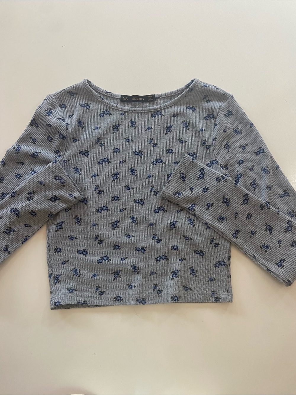 Hesperus Gray Cropped Long-Sleeve Top Blue Flower Print great condition size XS